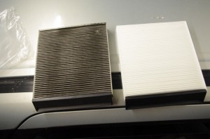 1-IMGP4440